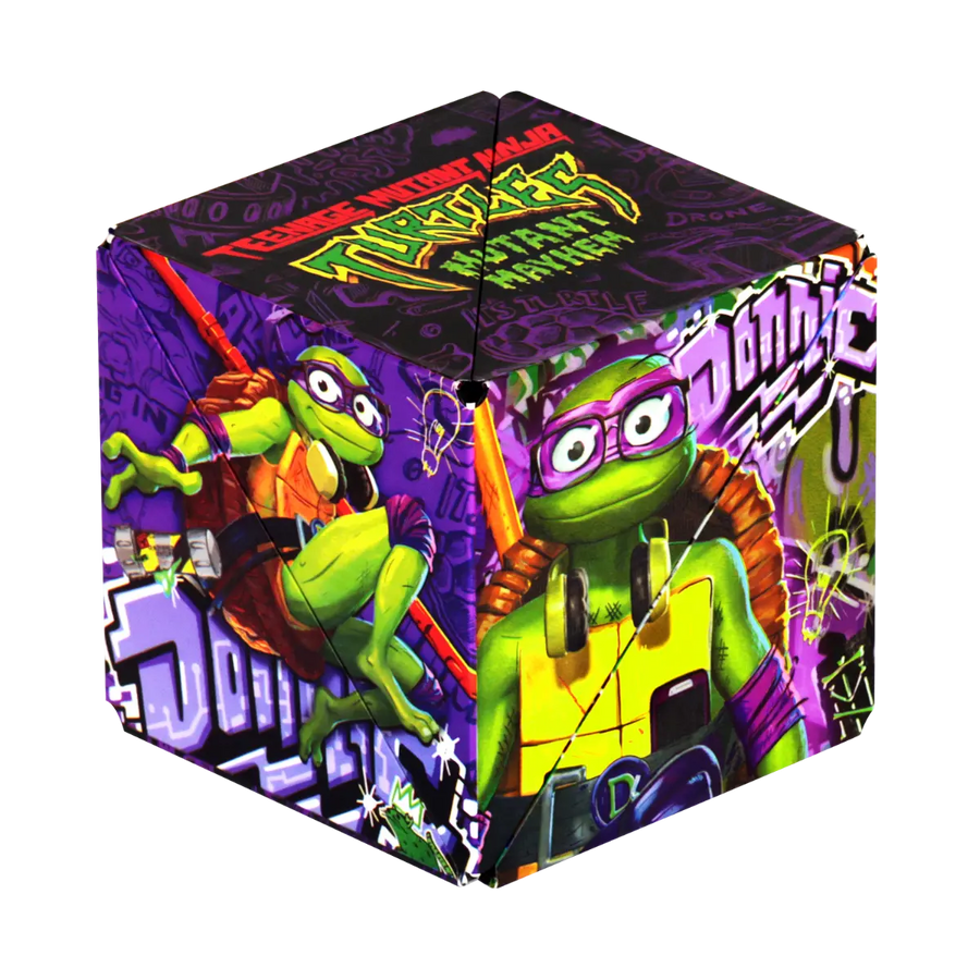 TMNT Series F5