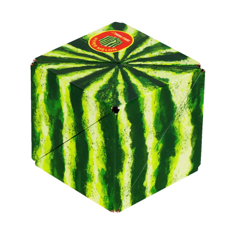 Meow Wolf Series V0