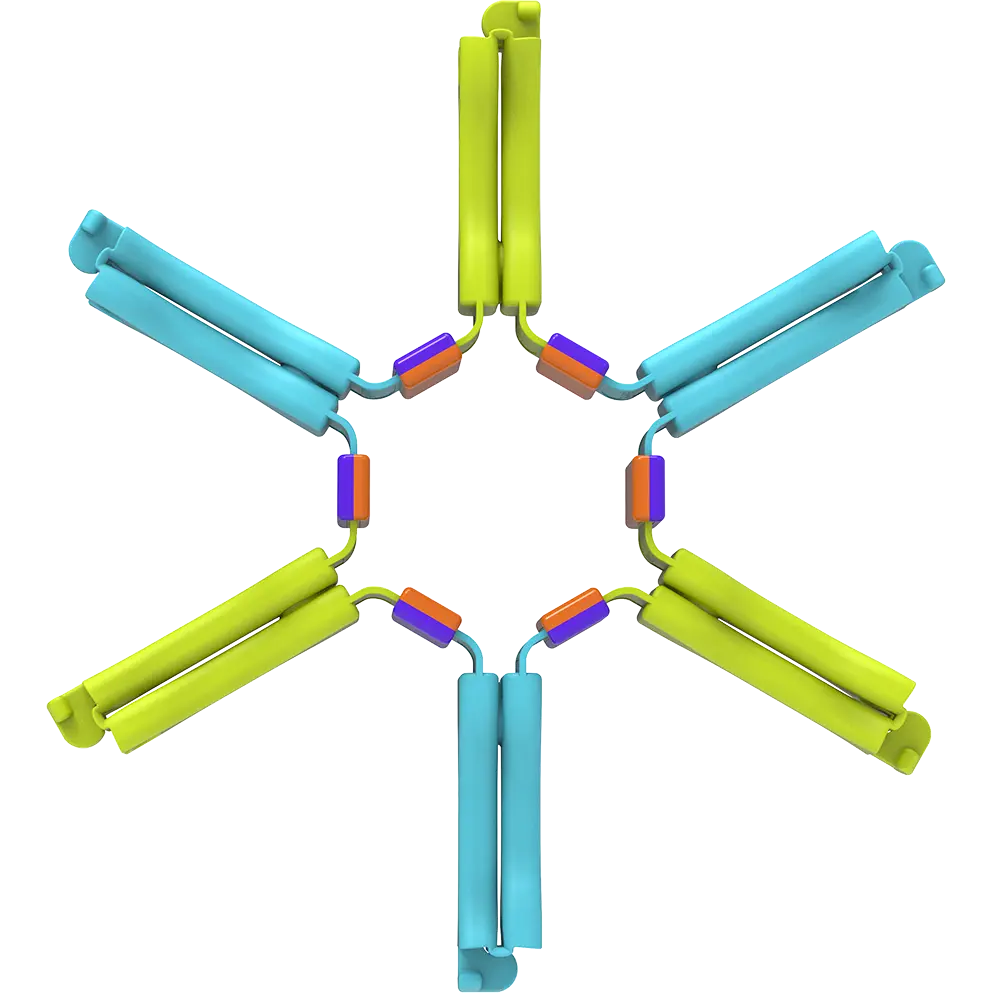 Nockles™ P1